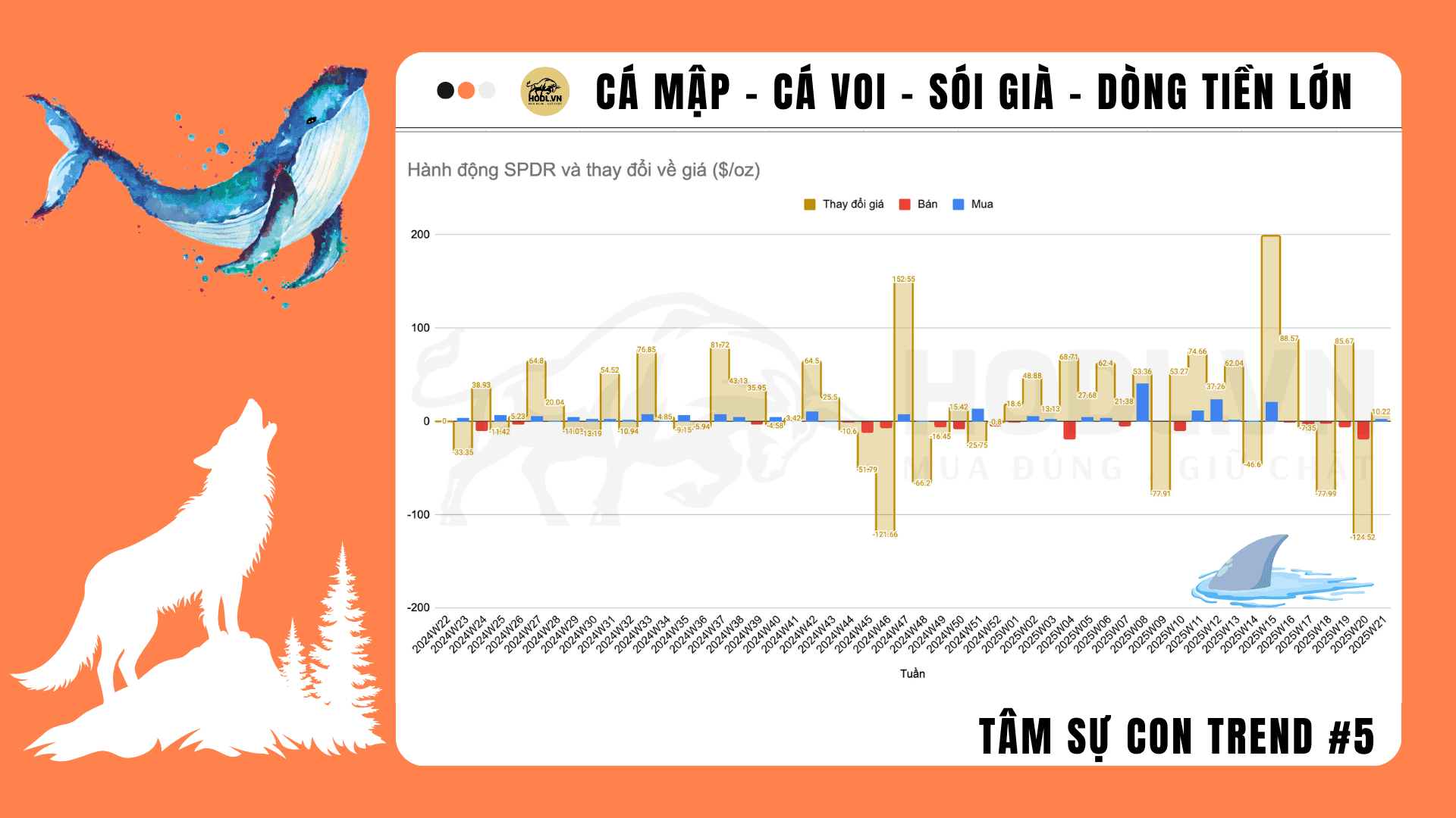 Tâm sự Con Trend 05: Cá mập, cá voi, Sói già và dòng tiền lớn