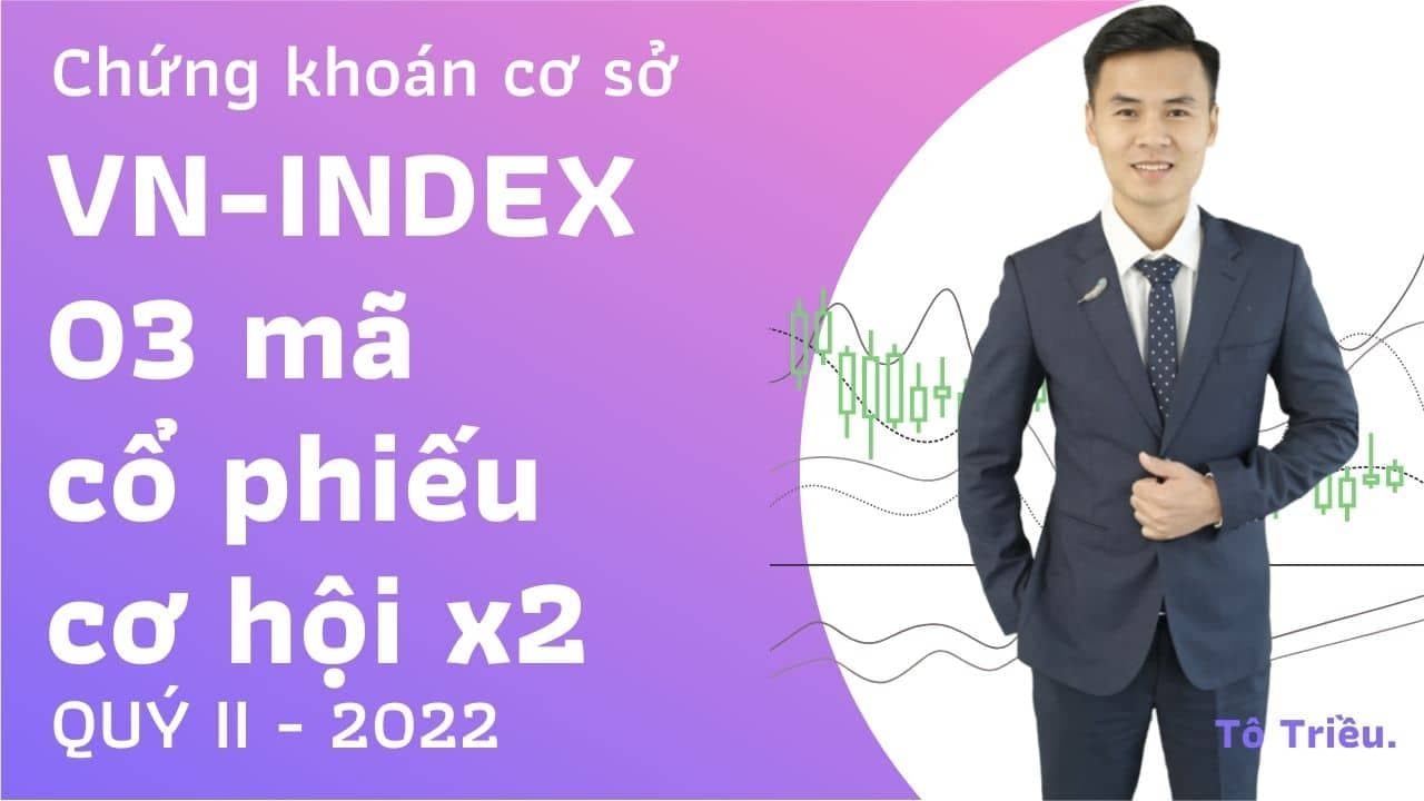 Chứng khoán Việt Nam Q2-2022: VN-INDEX tích luỹ, Chờ mua VNM, EVF, TSC, DS3