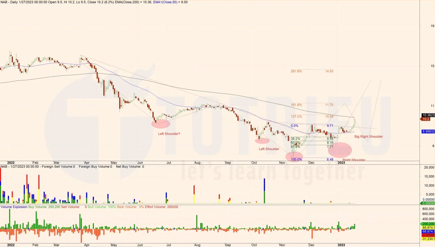 Top 10 Price Action tuần 05-2023 (30/01 - 05/02)
