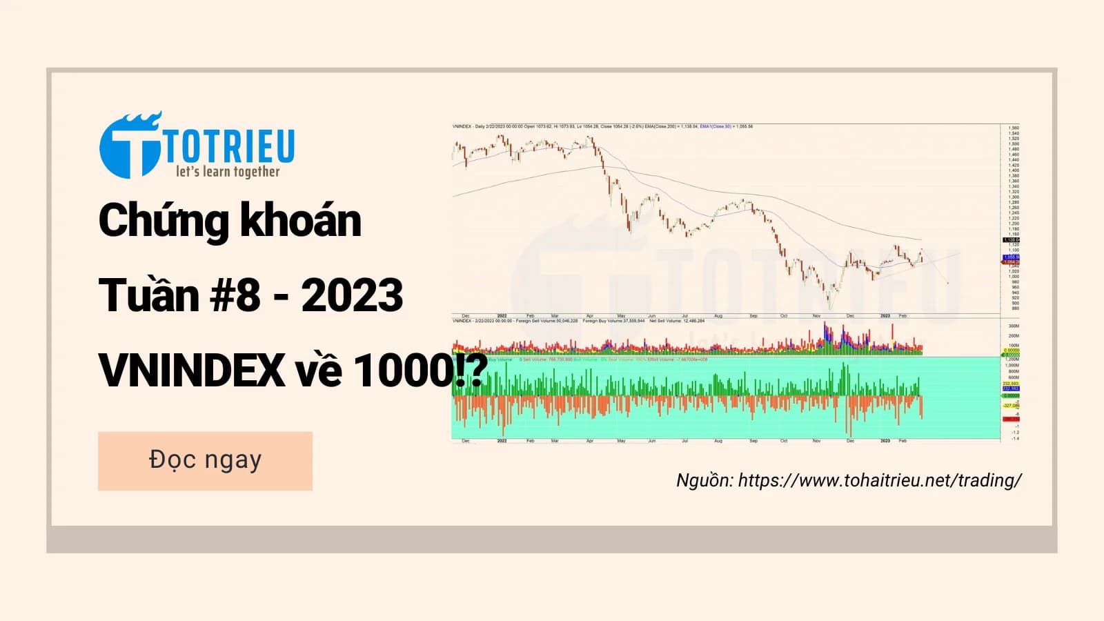 Chứng khoán cơ sở tuần 08-2023: VNINDEX lộ Vai đầu vai, 2 mã tiềm năng bất chấp nguy cơ