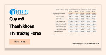 Quy mô và Thanh khoản thị trường Forex