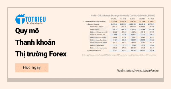 Quy mô và Thanh khoản thị trường Forex