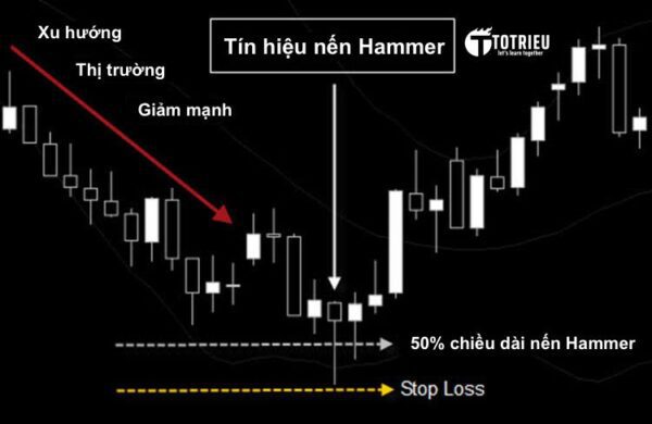 Điểm vào lệnh chuẩn Mô hình nến Hammer