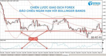 Chiến lược giao dịch Forex: Đảo chiều ngắn hạn với Bollinger Bands