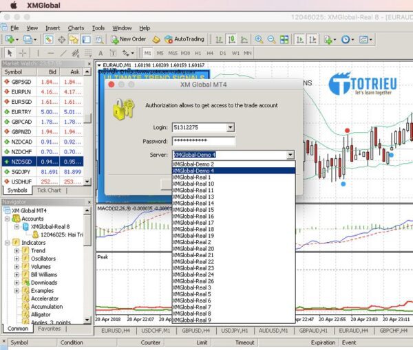 Chọn máy chủ đăng nhập tài khoản XM trên MT4