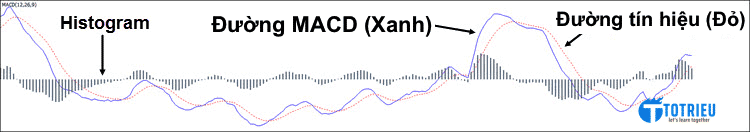 Ví dụ cụ thể về chỉ báo MACD trong giao dịch