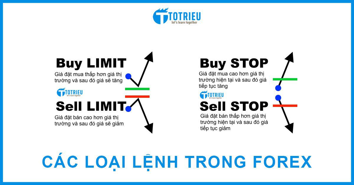 Học forex miễn phí