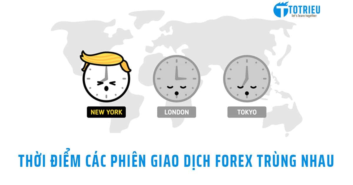 Học forex miễn phí