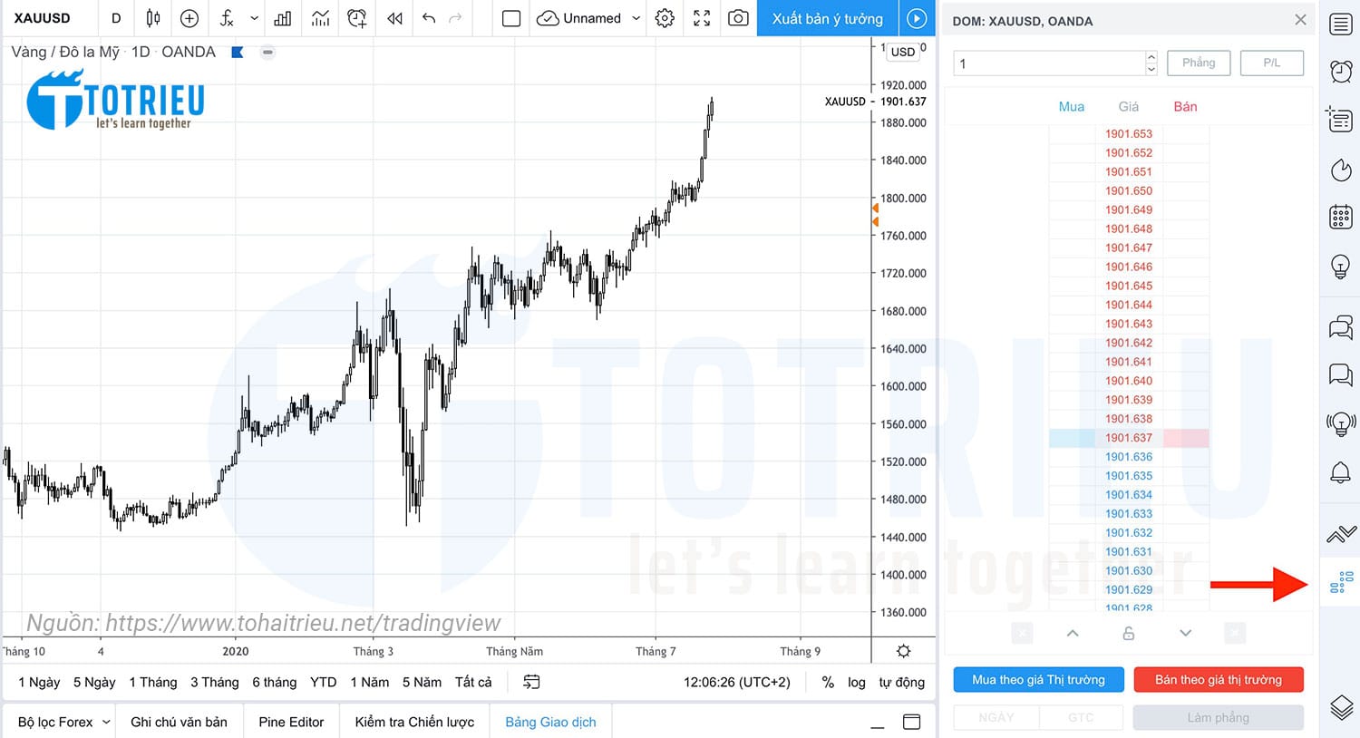 TradingView DOM - Depth of Market