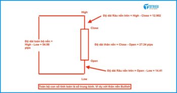 Mức độ giao động trung bình của nến trong một ngày