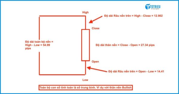 Mức độ giao động trung bình của nến trong một ngày