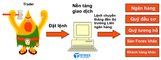 Hoạt động của một No Dealing Desk Broker