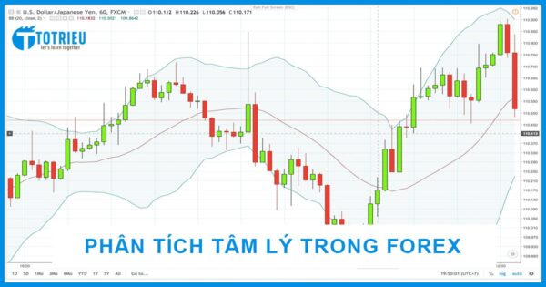 Phân tích Tâm lý thị trường Forex