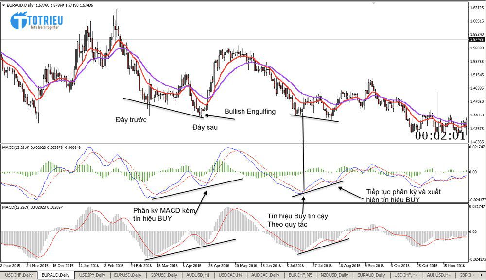 Phân kỳ MACD trong Down Trending