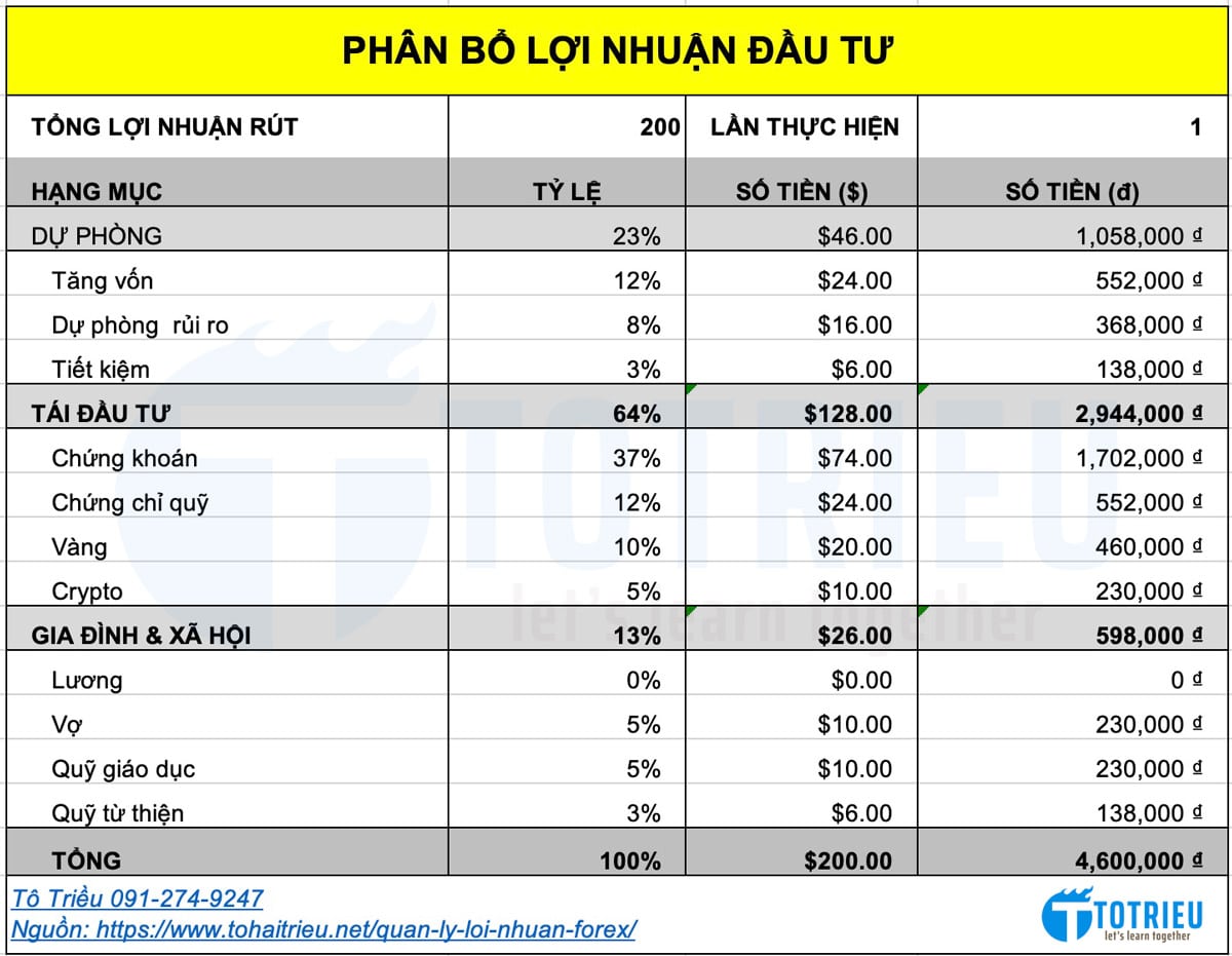 File Excel quản lý phân bổ lợi nhuận tăng tài sản bền vững