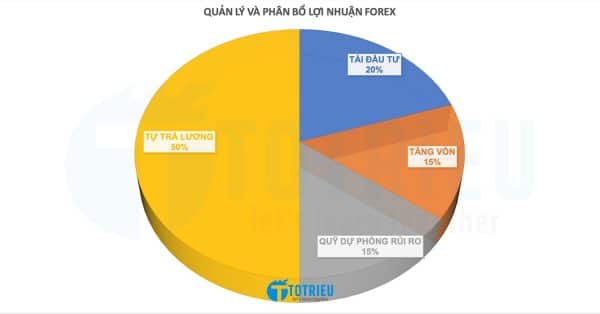 Kế hoạch quản lý và phân bổ lợi nhuận Forex hiệu quả