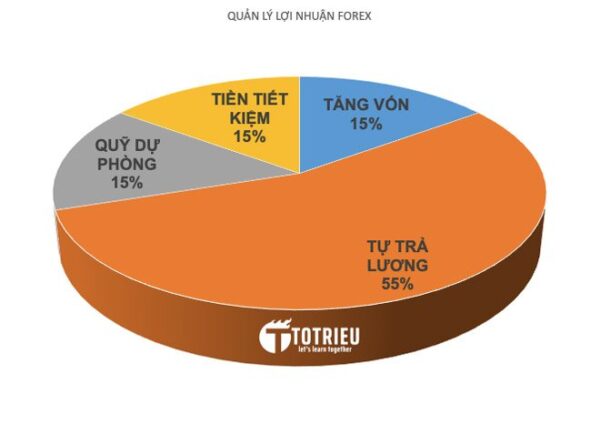 Quản lý và phân bổ lợi nhuận từ Forex