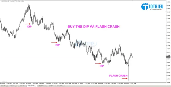 Buy the Dip và Flash Crash