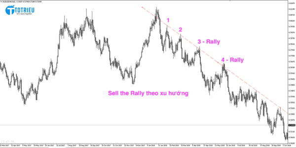 Sell the Rally theo xu hướng