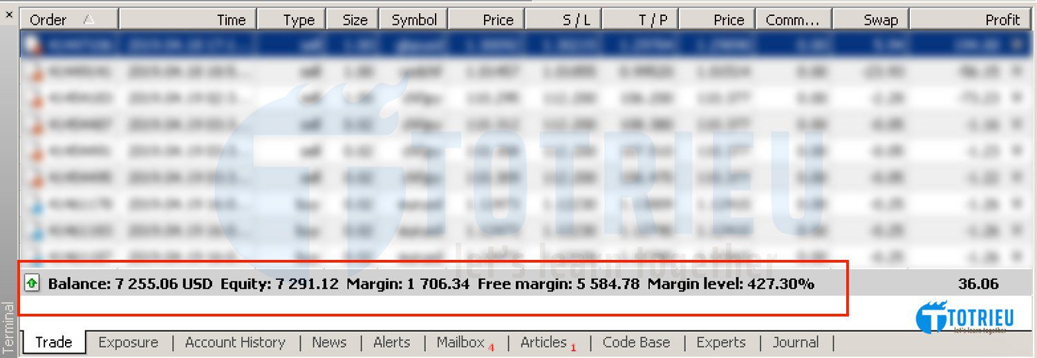 Forex Account