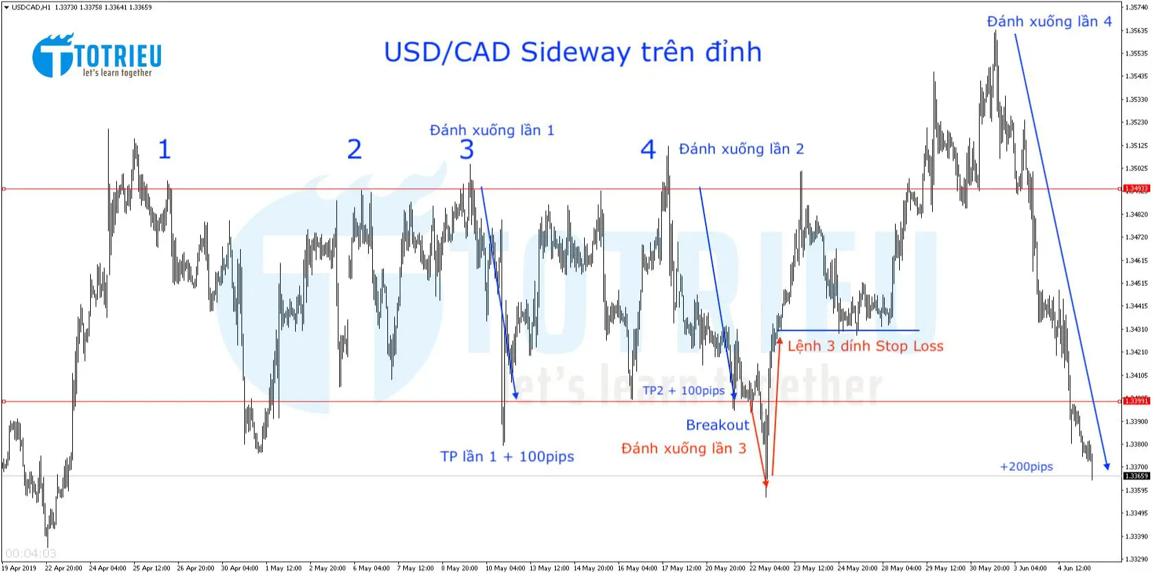 USD/CAD tích lũy trên đỉnh và hành trình giao dịch