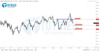 US Dollar Index Week 33/2019 Forecast