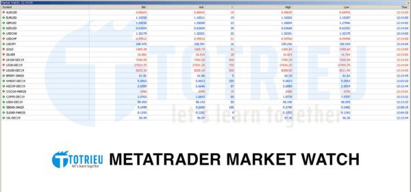 Hướng dẫn MetaTrader Market Watch