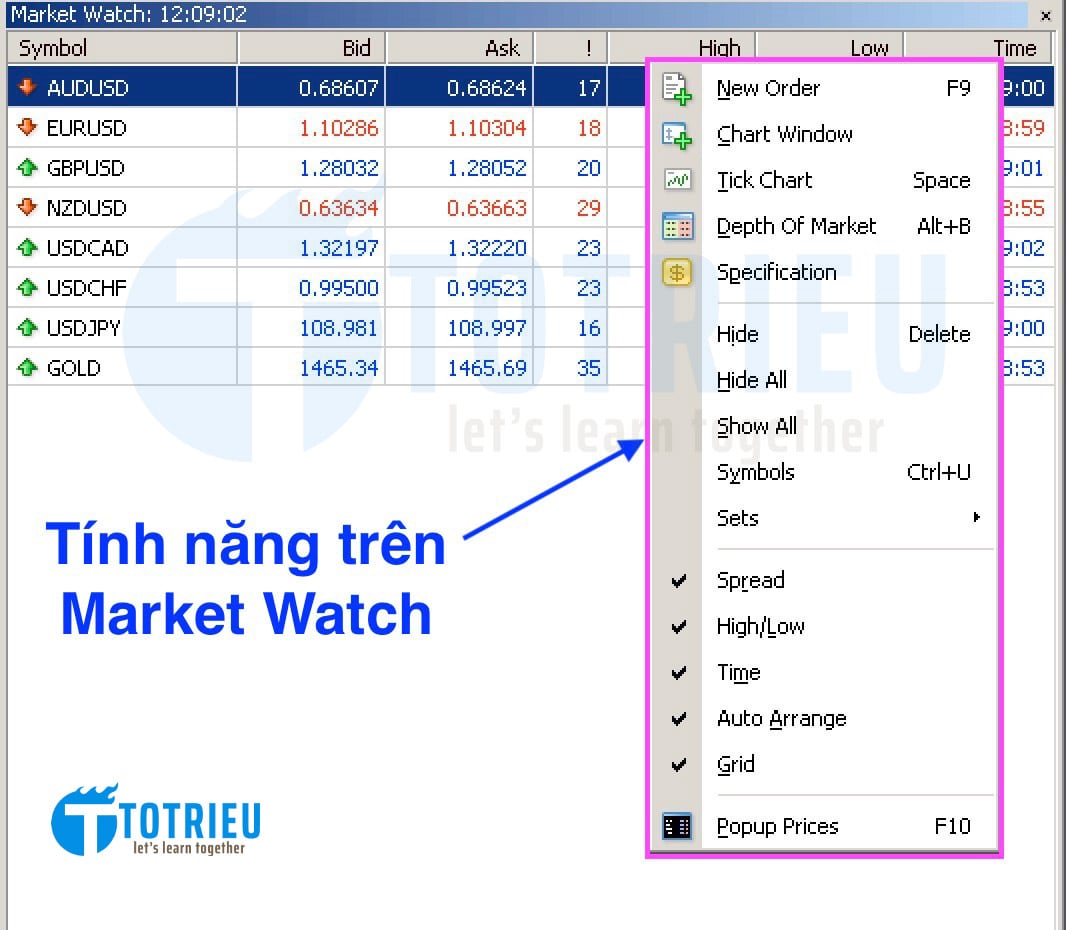 Tính năng của MetaTrader Market Watch