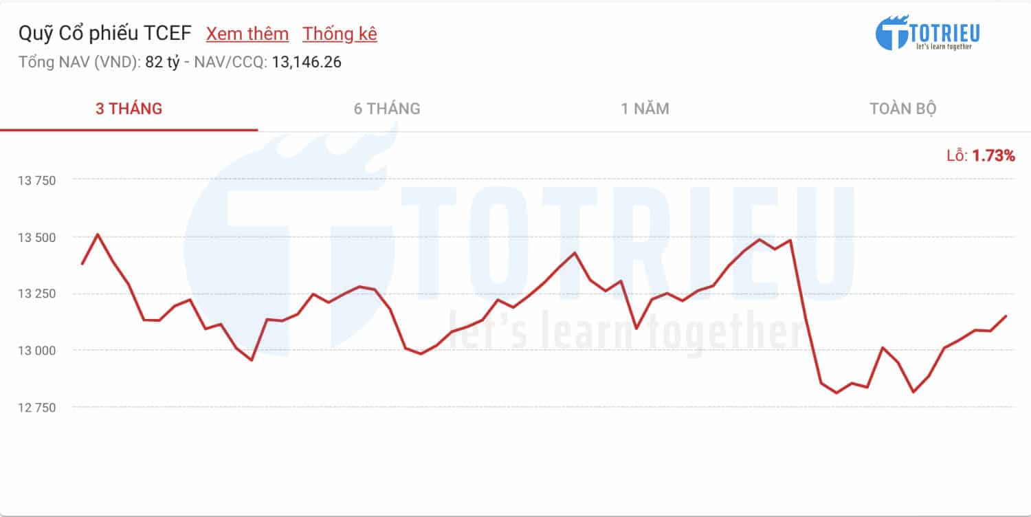 Quỹ cổ phiếu TCEF - Techcombank