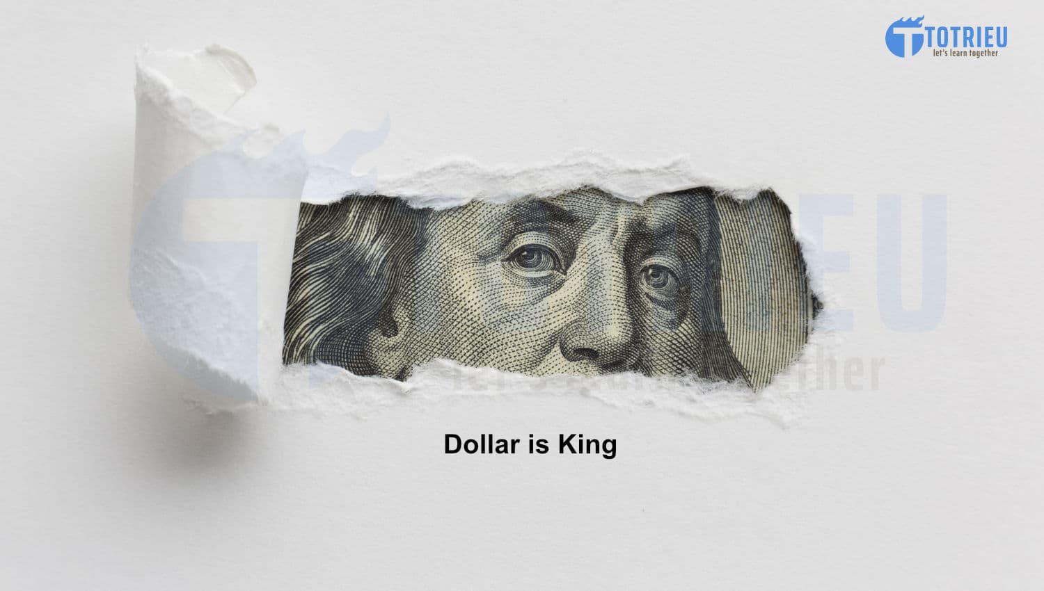 Dollar is King