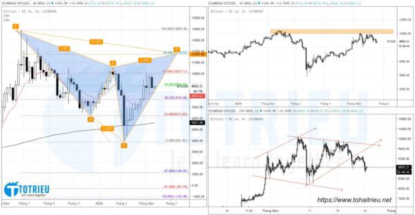 Bitcoin - BTCUSD ngày 25-05-2020: Price Action