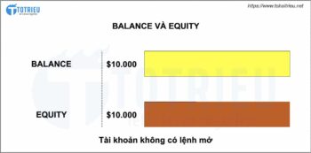 Equity là gì và mối liên hệ với Balance trong tài khoản Margin Trading