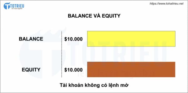 Equity là gì và mối liên hệ với Balance trong tài khoản Margin Trading