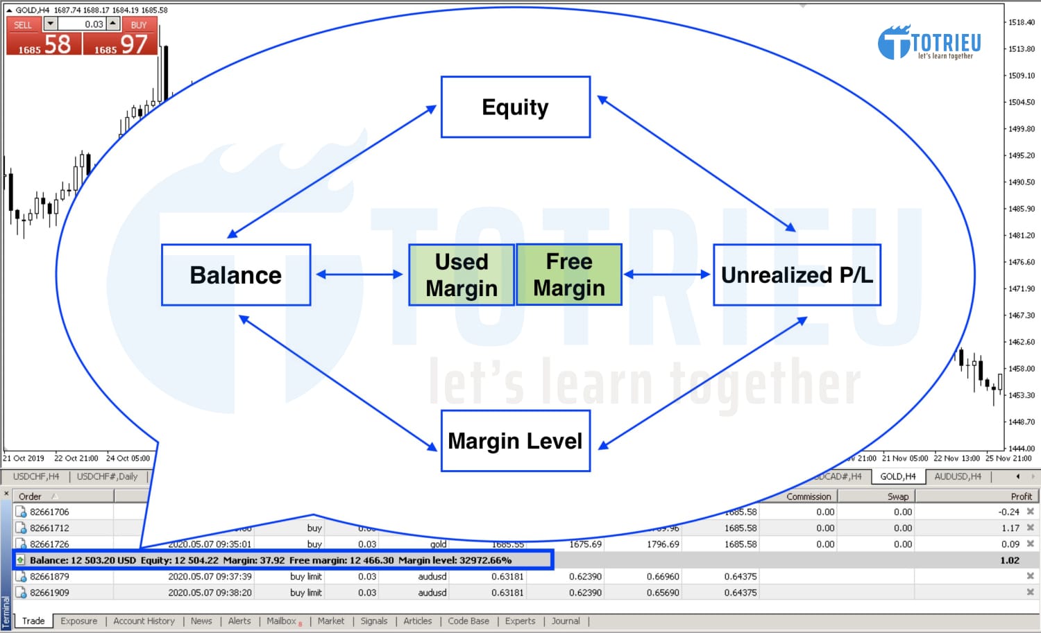 Thông số tài khoản Forex Margin Trading