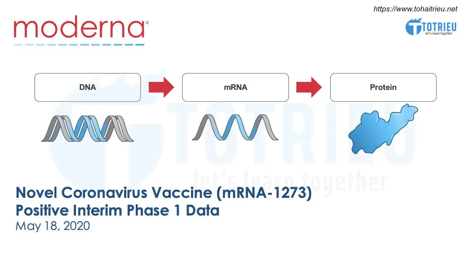 Tin Forex ngày 19/05/2020: Hy vọng Vaccine Covid-19