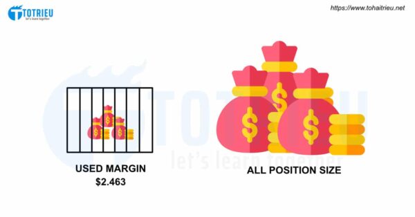 Used Margin và All Position Size