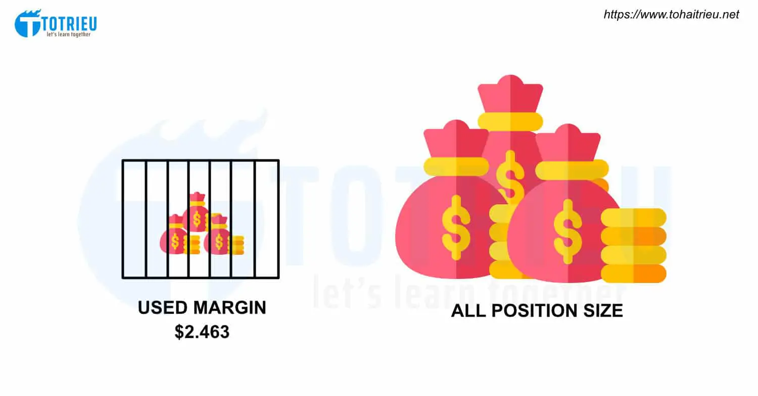 Used Margin và All Position Size