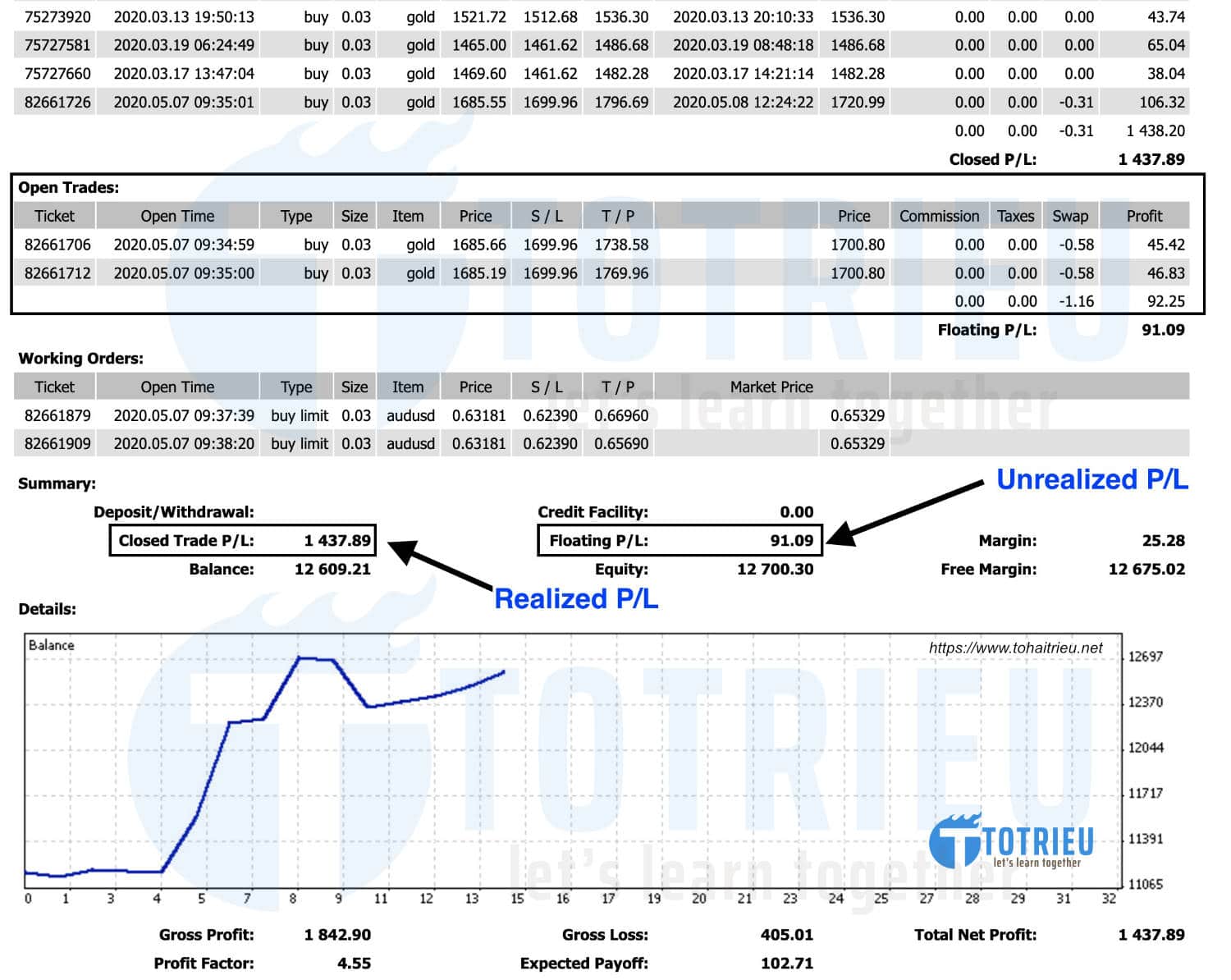 Chi tiết báo cáo tài khoản trích xuất từ MetaTrader 4