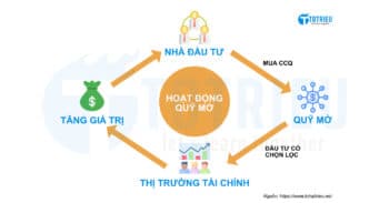 Hoạt động quỹ mở