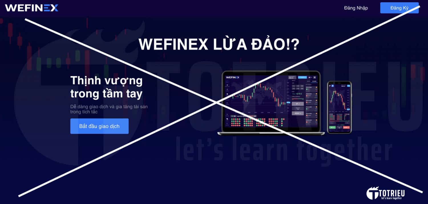 Wefinex là gì Thực hư chuyện Wefinex là đa cấp lừa đảo