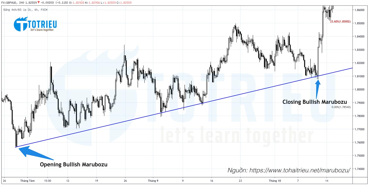 Ứng dụng nến Marubozu và đường xu hướng
