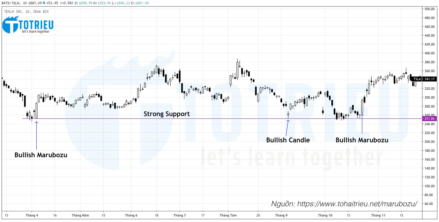 Giá Open của Mô hình nến Bullish Marubozu có thể được coi là vùng hỗ trợ