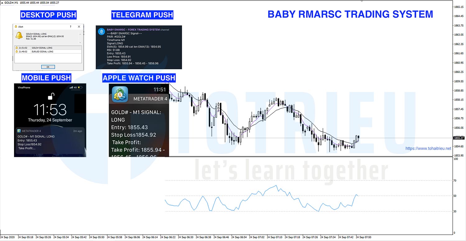 BABY EMARSC Trading System
