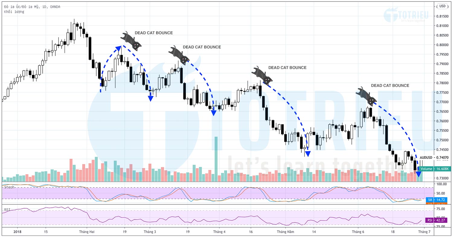 Dead Cat Bounce là gì?