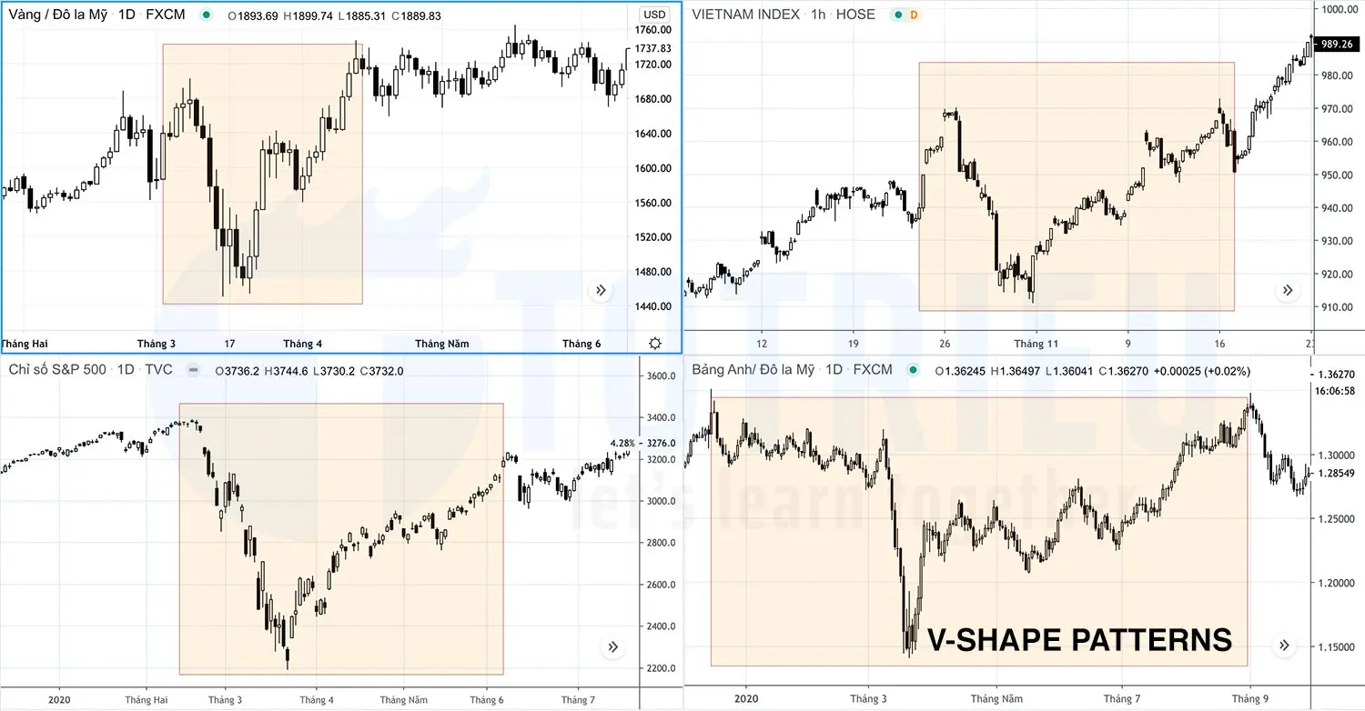 V Shape - Phục hồi hình chữ V