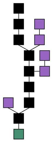 Hình thành blockchain. Chuỗi chính (màu đen) là chuỗi dài nhất gồm các khối từ khối khởi tạo (màu xanh lá cây) đến khối hiện tại. Các khối riêng lẻ (màu tím nhạt) nằm ở bên ngoài chuỗi chính.