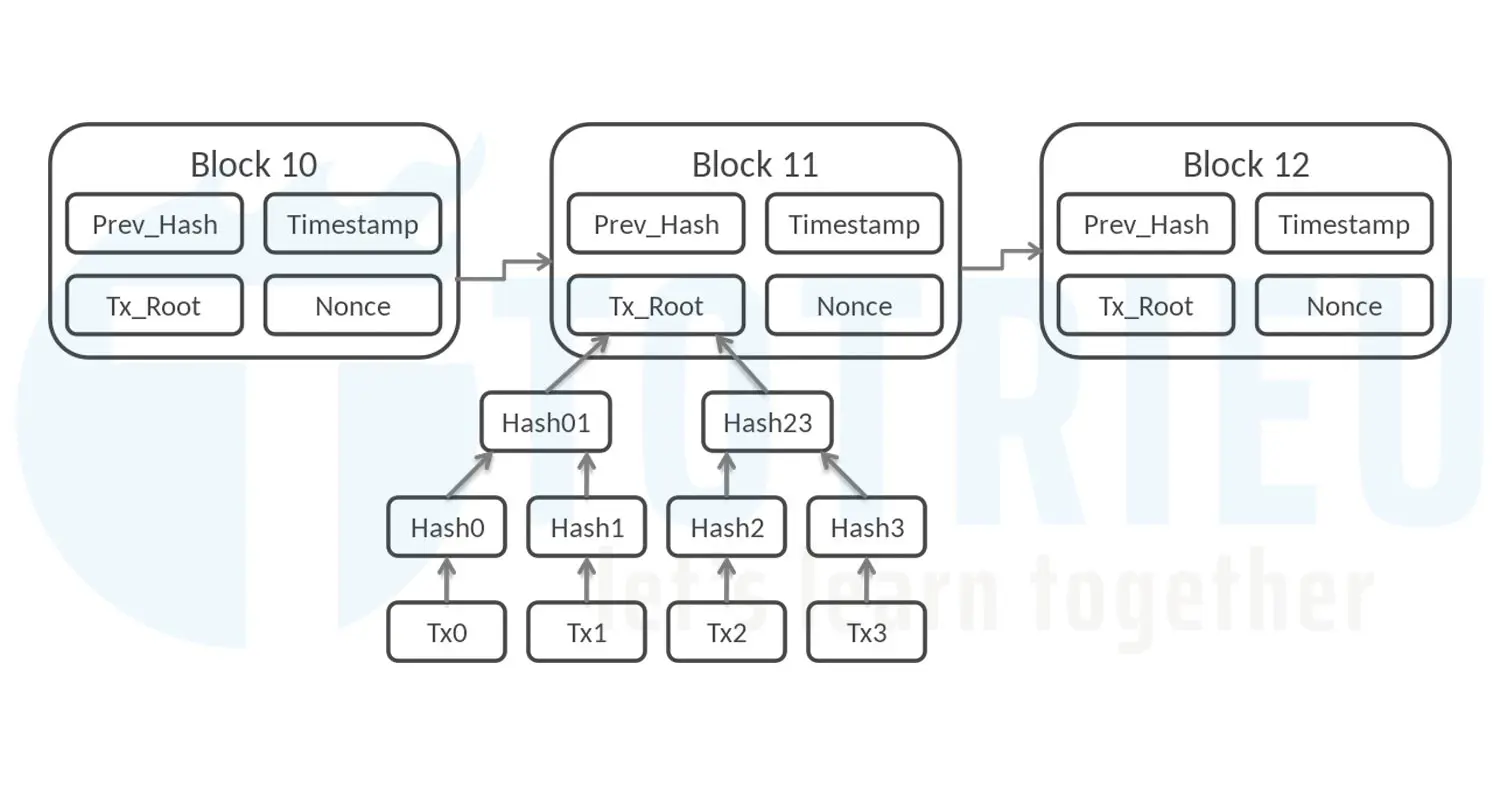Dữ liệu mạng Bitcoin