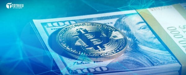 Tiền pháp định (Fiat) là gì?