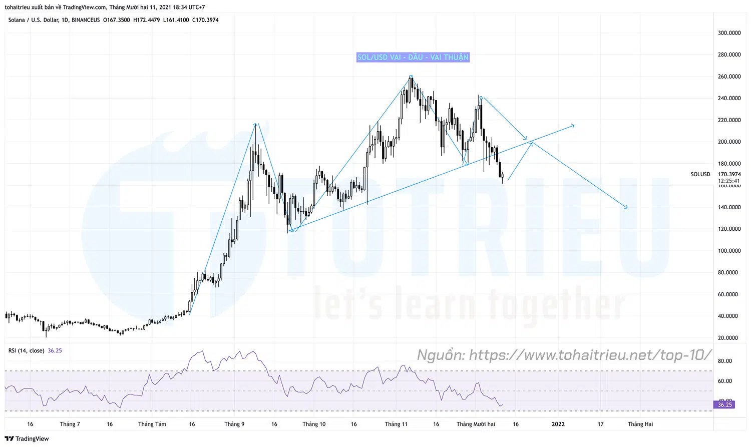 Top 10 Price Action Crypto tuần 50 năm 2021: SOLUSD