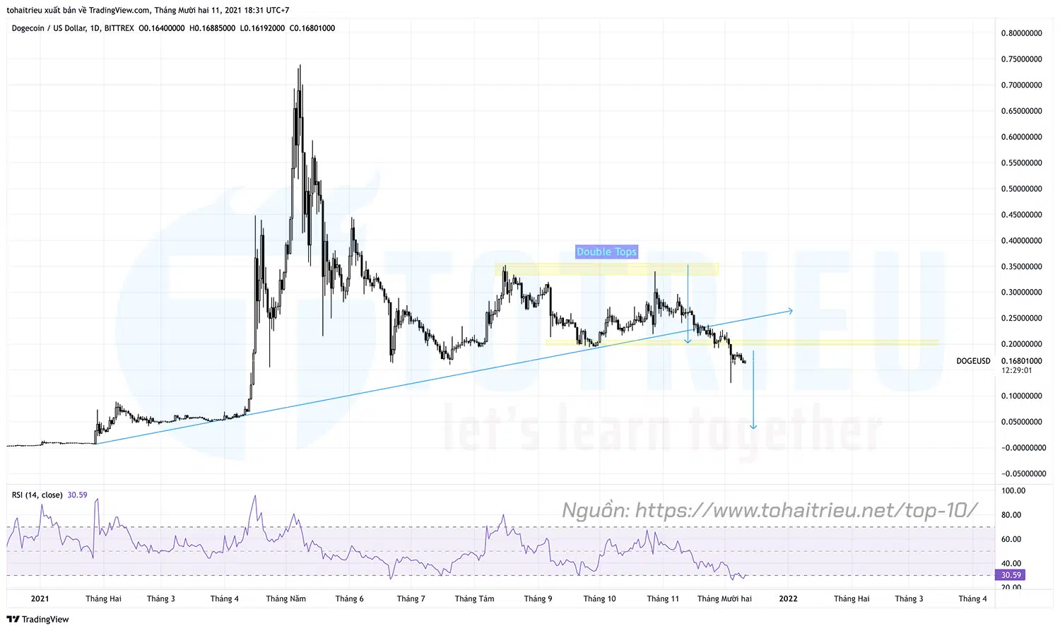 Top 10 Price Action Crypto tuần 50 năm 2021: DOGEUSD